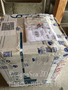 从宁波到美国 寄送食品选择国际快递的最佳攻略
